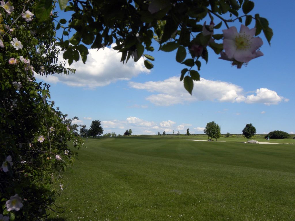 Perfect-Eagle-Golf-Heart-of-Golf-Lengenfeld